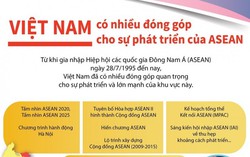 Những đóng góp quan trọng của Việt Nam vì sự phát triển của ASEAN