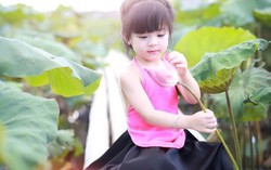 Bé gái 4 tuổi siêu đáng yêu bên hoa sen