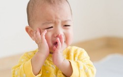 Sơn đậu căn có tác dụng gì khi trẻ bị viêm VA?