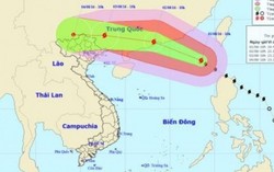 Ảnh hưởng của siêu bão Nida: Các tỉnh Đông Bắc Bộ sẽ mưa rất to