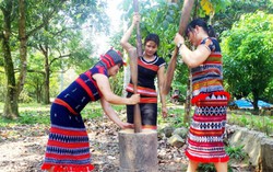 Tạo sinh kế bền vững cho phụ nữ tái định cư sau dự án thủy điện A Vương