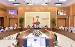 'Quốc hội cần lên tiếng khi trẻ em bị xâm hại gây bức xúc'