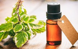 10 loại tinh dầu giúp làm giảm cơn đau do bệnh gout gây ra