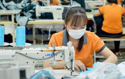 ‘Công nhân quá khổ, đang bán kiệt sức lao động của mình!’
