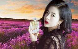 Cénota: Mùi hương để nhớ