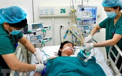 Cảnh báo bệnh viêm não mô cầu gia tăng trong dịp hè