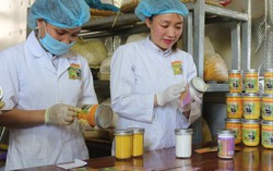 Nữ giám đốc của HTX chuyên sản xuất 'vàng ròng' thu tiền tỷ mỗi năm