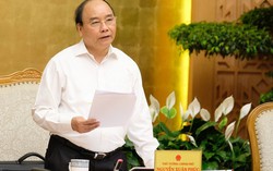 Thủ tướng ra công điện: Cả hệ thống chính trị quyết liệt phòng chống dịch tả lợn châu Phi