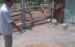 Vây bắt hung thủ giết nữ sinh bằng chục nhát dao