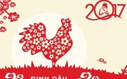 'Sao' rộn ràng chúc xuân bạn đọc PNVN 