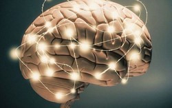 Phát hiện mới của các nhà khoa học Mỹ trong điều trị bệnh Parkinson