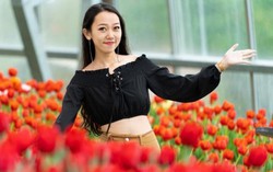 Thưởng lãm mùa xuân châu Âu tại Vinpearl Land Nha Trang