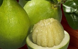 Chọn bưởi ngon cho mâm cỗ Trung Thu