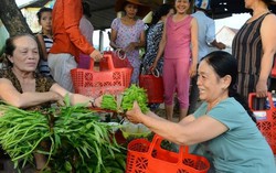 Quảng Ngãi: Phụ nữ Nghĩa Hành tích cực hưởng ứng ‘Giỏ nhựa đi chợ’