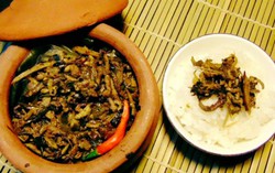 Đặc sản rươi mùa mới hấp dẫn người sành ăn với giá hơn nửa triệu/kg