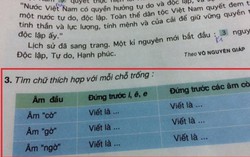 Phụ huynh 'bó tay' với bài tập Tiếng Việt lớp 5