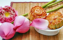 Đa dạng đồ nghề làm bánh Trung thu handmade