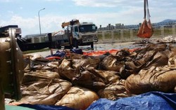 ‘Sở có mấy người, sao quản lý, giám sát hết được’