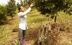 Người phụ nữ gánh 4 trọng trách ở Phiêng Dượng