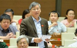 ĐBQH tha thiết đề nghị bổ sung ngày Gia đình VN là ngày nghỉ lễ