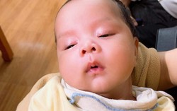 Bé bị bỏ rơi gần 2 tháng không người nhận, nhà chùa làm thủ tục nhận nuôi 