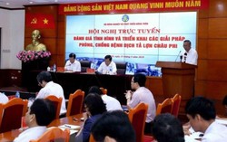 Cấp trữ đông để giảm áp lực tiêu hủy, đảm bảo nguồn thịt lợn cuối năm