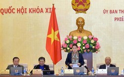 6 dự án luật được bổ sung vào Chương trình Xây dựng luật, pháp lệnh năm 2019