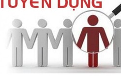 Thông báo tuyển kế toán kiêm trợ lý hành chính dự án