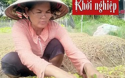 Người phụ nữ Khmer truyền cảm hứng cho mô hình trồng rau an toàn 