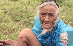 Cụ bà 90 mò cua trong giá rét