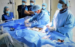 Can thiệp thành công ca dị dạng mạch máu não ở bệnh nhi