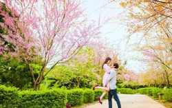 Tình yêu đong đầy trong sáng đầu xuân