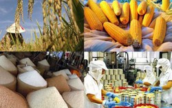 Xuất nông sản sang Indonesia có thể kiểm nghiệm ngay trong nước
