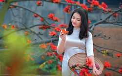 Màu sắc ảnh hưởng thế nào đến cuộc sống?