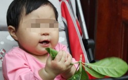 5 sự kiện y tế nổi bật năm 2016