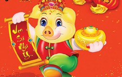 Trẻ sinh năm Kỷ Hợi 2019 sẽ ra sao?