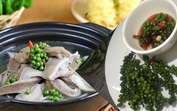 Ngon khó cưỡng với món bao tử hầm tiêu xanh