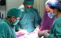 Bé sinh non vừa chào đời 2 ngày tuổi đã bị tắc ruột nguy hiểm