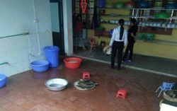 Giáo viên bạo hành trẻ không nên tiếp tục làm nghề