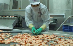 Cảnh báo về những ngành nghề sẽ không có người về hưu
