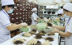Cơ hội khám bệnh, nhận thuốc miễn phí tại Hội chợ Y dược cổ truyền 2019 