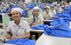 Gần 49% lao động có việc làm là nữ