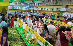 Bách Hóa Xanh cán mốc 500 siêu thị, số lượng gắn liền với chất lượng tăng trưởng