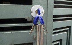 Cô gái trẻ bị trộm hơn 100 triệu đồng do quên rút chìa khóa cổng