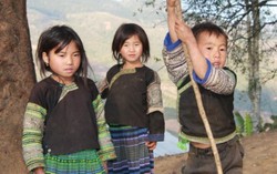 Về nơi gỗ pơ mu lợp nhà thay ngói