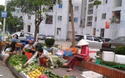 Ở chung cư, cấm nói tục: Bất khả thi