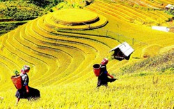 Thị trường du lịch mùa Thu: Thêm điểm mới, giảm giá tour