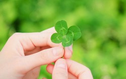 Người phụ nữ 10 năm chờ điều kỳ diệu