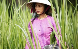 16 phim truyện xuất sắc 'tụ hội' tại LHP Việt Nam 2019