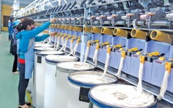 Hiệp định đối tác toàn diện và tiến bộ xuyên Thái Bình Dương tác động thế nào tới từng ngành?